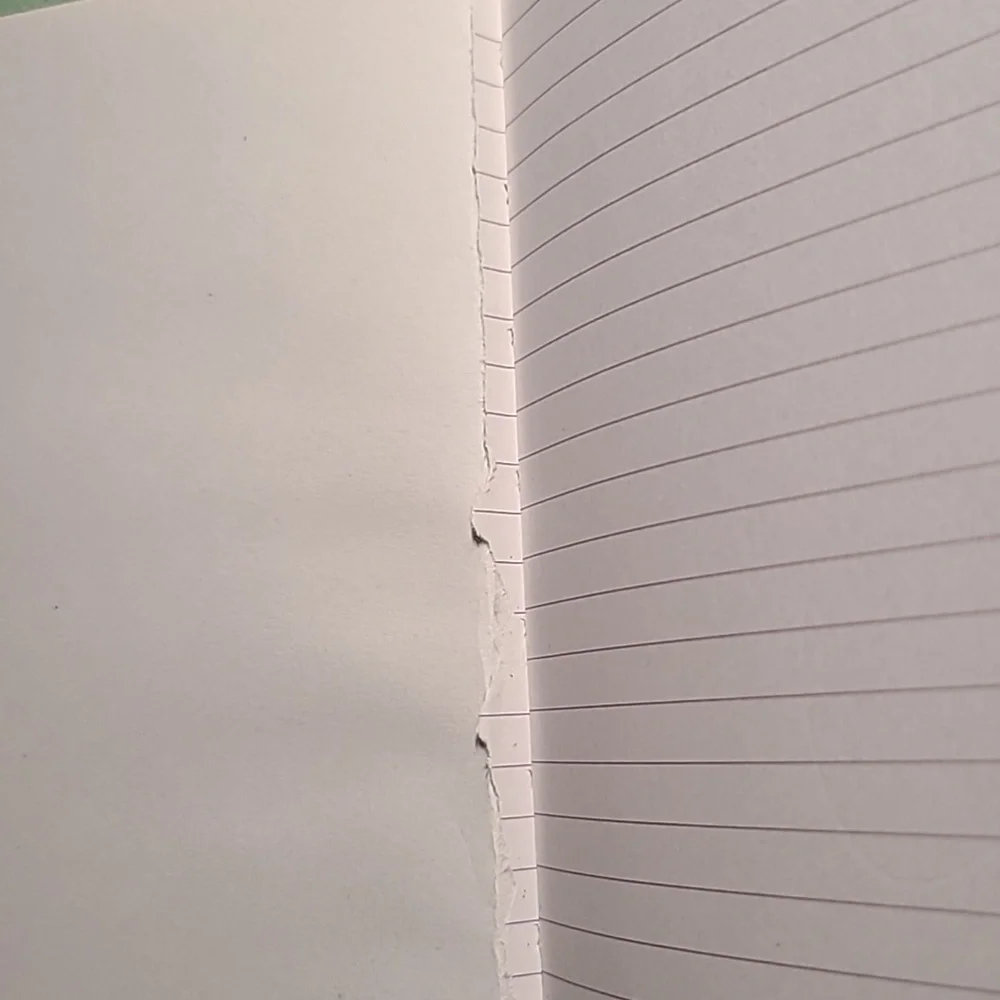 Notebooks - Picture 3 of 4